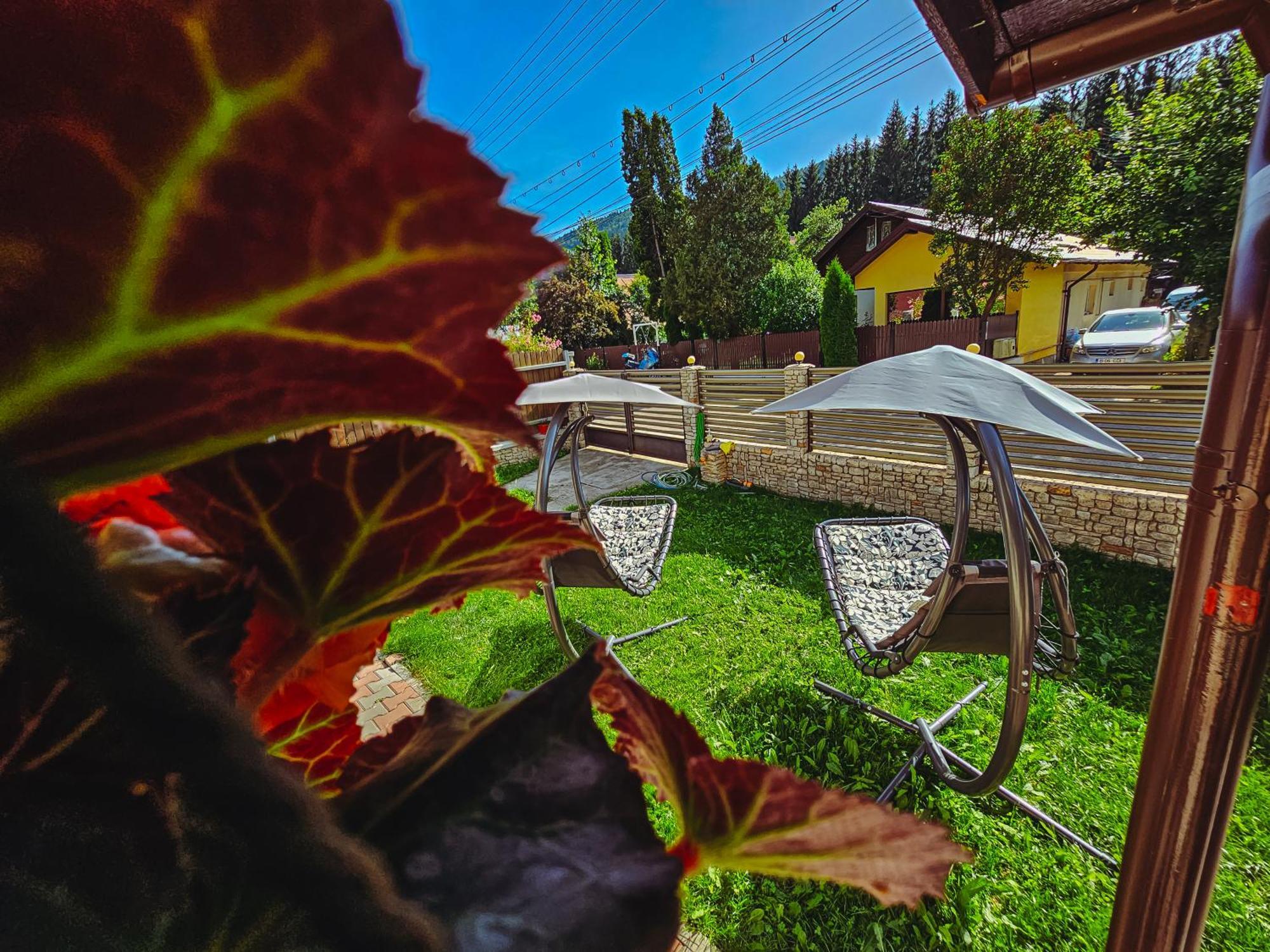 Alpine Bliss Sinaia Ξενοδοχείο Εξωτερικό φωτογραφία